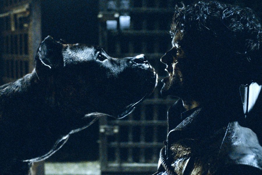 Ramsay about to be eaten to death by his hounds! :D Serves him right for starving them for days!
